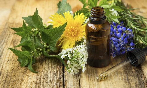 Alternative,Medicine,With,Plant-based,Essential,Oil,Bottle,And,Medicinal,Plants
